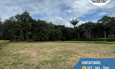 SE VENDEN DOS HERMOSOS LOTES EN LA VIA ACACIAS - DINAMARCA