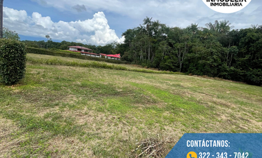 SE VENDEN DOS HERMOSOS LOTES EN LA VIA ACACIAS - DINAMARCA
