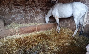 SE VENDE LOTE RESIDENCIAL EN HACIENDA REAL 1800 EN HUCHAPAN HIDALGO