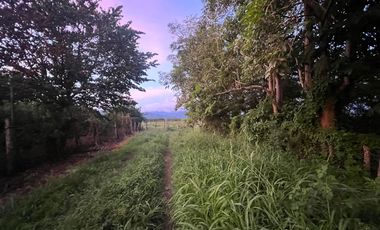 Terreno en renta en Valle de Banderas, ideal para agropecuarios, 5,000 m2