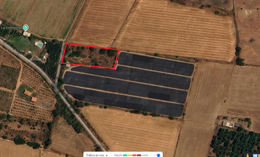 Terreno en renta en Valle de Banderas, ideal para agropecuarios, 5,000 m2