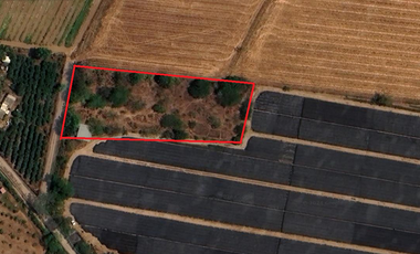 Terreno en renta en Valle de Banderas, ideal para agropecuarios, 5,000 m2