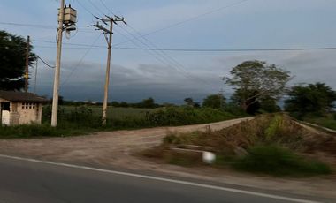 Terreno en renta en Valle de Banderas, ideal para agropecuarios, 5,000 m2
