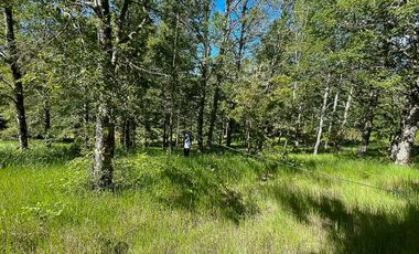 Hermosa Parcela de 5000m2 con vista al río Cruces a 12km al norte de Valdivia