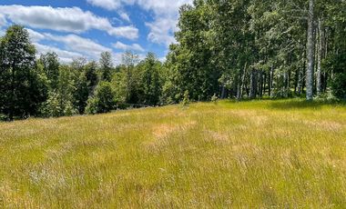 Hermosa Parcela de 5000m2 con vista al río Cruces a 12km al norte de Valdivia