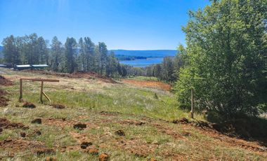 Hermosa Parcela de 5000m2 con vista al río Cruces a 12km al norte de Valdivia