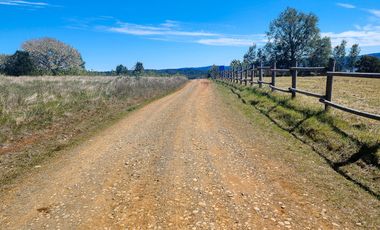 Hermosa Parcela de 5000m2 con vista al río Cruces a 12km al norte de Valdivia