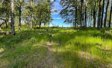 Hermosa Parcela de 5000m2 con vista al río Cruces a 12km al norte de Valdivia
