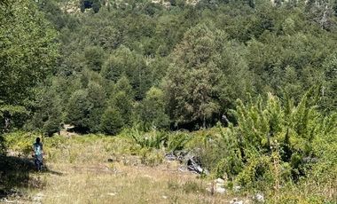 Hermosa Parcela de 1ha a 50km de Pucón, Valle de Panqui