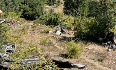 Hermosa Parcela de 1ha a 50km de Pucón, Valle de Panqui