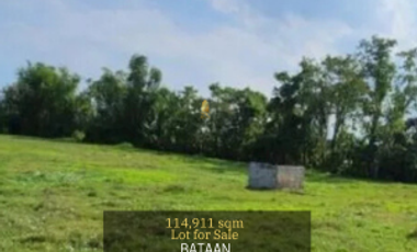 Lot for sale in Maluang Road, Tanato, Balanga, Bataan
