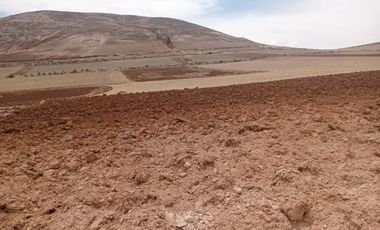 ¡Oportunidad de Inversión en Maras, Urubamba! TERRENO EN VENTA AREA 8500 M2