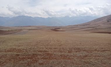 ¡Oportunidad de Inversión en Maras, Urubamba! TERRENO EN VENTA AREA 8500 M2