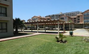 Arriendo Vacacional Edificio Playa Real, Piso 7, Av. del Mar, La Serena.