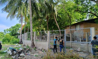 For sale / rent: Beachfront land opposite Moadto Strip Doljo Panglao Bohol