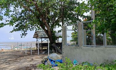 For sale / rent: Beachfront land opposite Moadto Strip Doljo Panglao Bohol