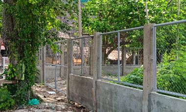 For sale / rent: Beachfront land opposite Moadto Strip Doljo Panglao Bohol