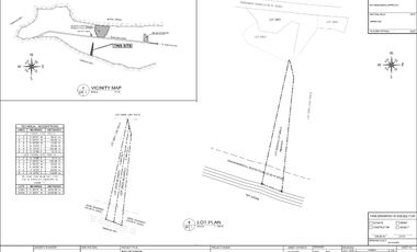 For sale / rent: Beachfront land opposite Moadto Strip Doljo Panglao Bohol
