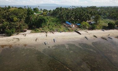 For sale / rent: Beachfront land opposite Moadto Strip Doljo Panglao Bohol