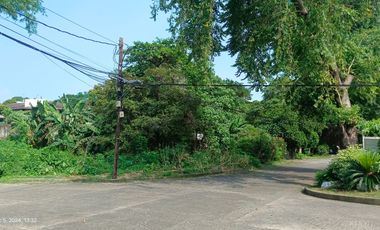 631 sqm Residential CORNER Lot For Sale in San Jose Village Alabang Muntinlupa MM