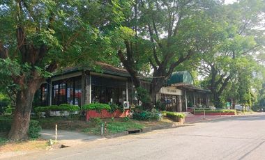 631 sqm Residential CORNER Lot For Sale in San Jose Village Alabang Muntinlupa MM