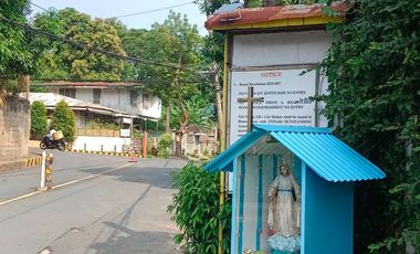 631 sqm Residential CORNER Lot For Sale in San Jose Village Alabang Muntinlupa MM