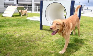 ¡DESCUBRE POR QUÉ TODOS QUIEREN COMPRAR CASA EN PACHUCA! HERMOSA CASA NUEVA