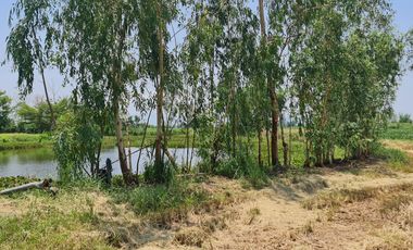 Own or Lease Green Land – Build a Sustainable Future Today!