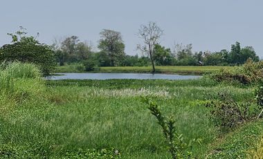 Own or Lease Green Land – Build a Sustainable Future Today!