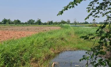 Own or Lease Green Land – Build a Sustainable Future Today!