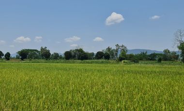 Own or Lease Green Land – Build a Sustainable Future Today!