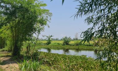 Own or Lease Green Land – Build a Sustainable Future Today!