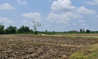 Own or Lease Green Land – Build a Sustainable Future Today!