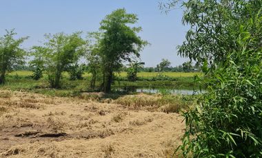 Own or Lease Green Land – Build a Sustainable Future Today!