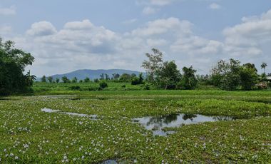 Own or Lease Green Land – Build a Sustainable Future Today!