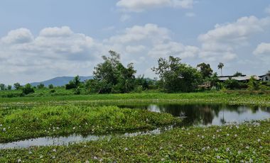 Own or Lease Green Land – Build a Sustainable Future Today!