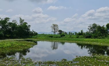 Own or Lease Green Land – Build a Sustainable Future Today!