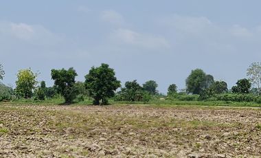 Own or Lease Green Land – Build a Sustainable Future Today!