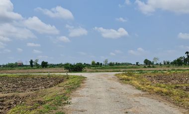 Own or Lease Green Land – Build a Sustainable Future Today!