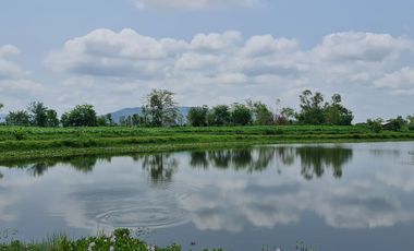Own or Lease Green Land – Build a Sustainable Future Today!