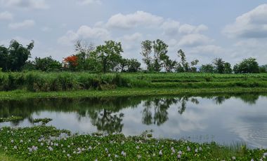 Own or Lease Green Land – Build a Sustainable Future Today!