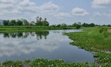 Own or Lease Green Land – Build a Sustainable Future Today!