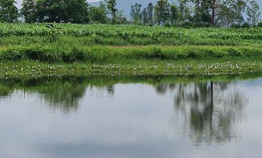 Own or Lease Green Land – Build a Sustainable Future Today!