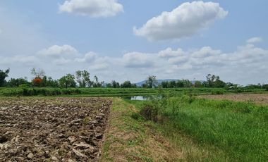 Own or Lease Green Land – Build a Sustainable Future Today!