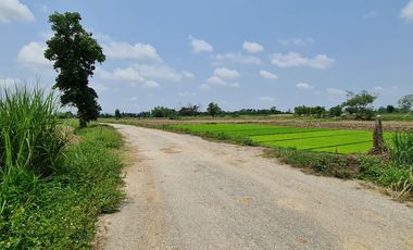 Own or Lease Green Land – Build a Sustainable Future Today!