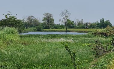 Own or Lease Green Land – Build a Sustainable Future Today!