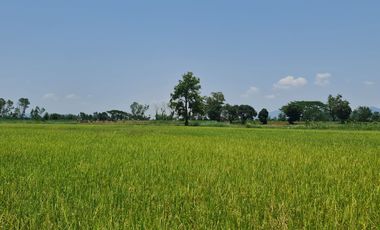 Own or Lease Green Land – Build a Sustainable Future Today!