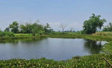 Own or Lease Green Land – Build a Sustainable Future Today!