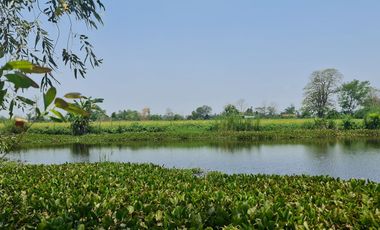 Own or Lease Green Land – Build a Sustainable Future Today!