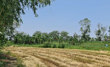 Own or Lease Green Land – Build a Sustainable Future Today!